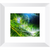 Light Breeze - Framed Prints