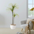 Artificial Dracaena Plant Fake Potted, Simulation Tree Fake Plant Home Decor