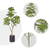 Artificial Natural Schefflera Dwarf Umbrella Tree Fake Tropical Indoor Plant Home Office Decor