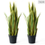 Artificial Indoor Edge Tiger Piran Fake Decoration Tree Flower Pot Plant