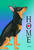 Miniature Pincsher  Black/Tan Cropped- Tomoyo Pitcher Home Garden Flag 