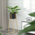 Gold Metal Plant Stand with Flower Pot Holder Corner Shelving Rack Indoor Display