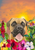 Boxer  - Hippie Hound Studios Tropical Summer  House and Garden Flags