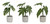 Set of Six 11" Green Artificial Foliage Tree In Round Ash Gray Pot