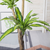 Artificial Indoor Brazlian Iron Tree Fake Plant Decorative  Heads