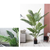 Artificial Swallowtail Sunflower Fake Decoration Tree Flower Pot Plant