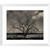 Baum im Winter - Framed Prints