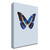 "Blue Butterfly" Wrapped Canvas Print Wall Art