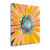 Sunshine Flower IV Wrapped Canvas Print Living Room Wall Art