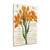 Euphorbia Botany 1 Wrapped Canvas Print Living Room Wall Art