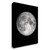 The Moon Wrapped Canvas Print Wall Art