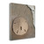 Sand Surf Sand Dollar 2 Wrapped Canvas Print Living Room Wall Art