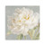 Homeroots Home Decor 30" Angelic White Peony Flower Canvas Wall Art