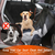 Dog Car Seat Cover Waterproof Scratchproof Pet 
