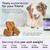 Dog UTI Treatment