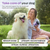 Dog UTI Treatment