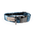Constellation Astrological Star Chart Buckle & Martingale Dog Collar
