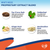 Natural Dog Yeast Infection Anti Itch Treatment