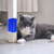 Cat Self Groomers Dog Cat Corner Groomer Wall Corner Massage 