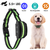 Anti-Bark Dog Collar