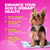 Dog UTI Treatment Chews