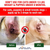 Natural Ear Mite Treatment for Dogs & Cats