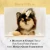 Dog Macarons - Box of 6 (Available in 12 Flavors)