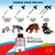 Cats & Dogs Liquid Herbal Medicine Treatment for Tapeworm, Whipworm, Roundworm and Hookworm