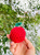 Handmade Sustainable Fuji Apple Rope Chew Toy For Puppies