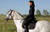 ALZOO Herbal Horse Collar
