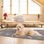 2Pcs Washable Pet Pee Pads 
