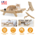 5 Changeable Forms Cardboard Cat 