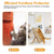 5 Changeable Forms Cardboard Cat 