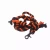 Halloween Leash