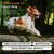15 in 1 Multivitamin Chews Joint Supplement for Dogs