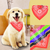 Adjustable Bandana Leather Pet Collar 
