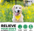 2 Pack Dog Allergy Relief Chews