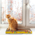 3Pcs Cat Scratcher Pads