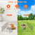 Small Animal Playpen 
