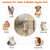 Small Animal Playpen 