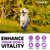 Dog Multivitamin Chewable with Glucosamine