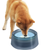 No Spill Dog Cat Water Bowl 