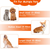 2 In 1 Multifunctional Pet 
