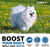 Omega 3 Fish Oil for Dogs
