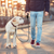 5FT Dog Leash Dog Training Walking Lead 