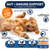 Probiotics for Dogs
