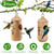 2 Packs Humming Bird Houses 