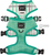 Reversible Harness