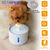 2.4L Automatic Dog Cat Water Fountain Electric LED Pet