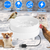 Heated Water Bowl For Dogs And Cats Ceramic Heated Pet